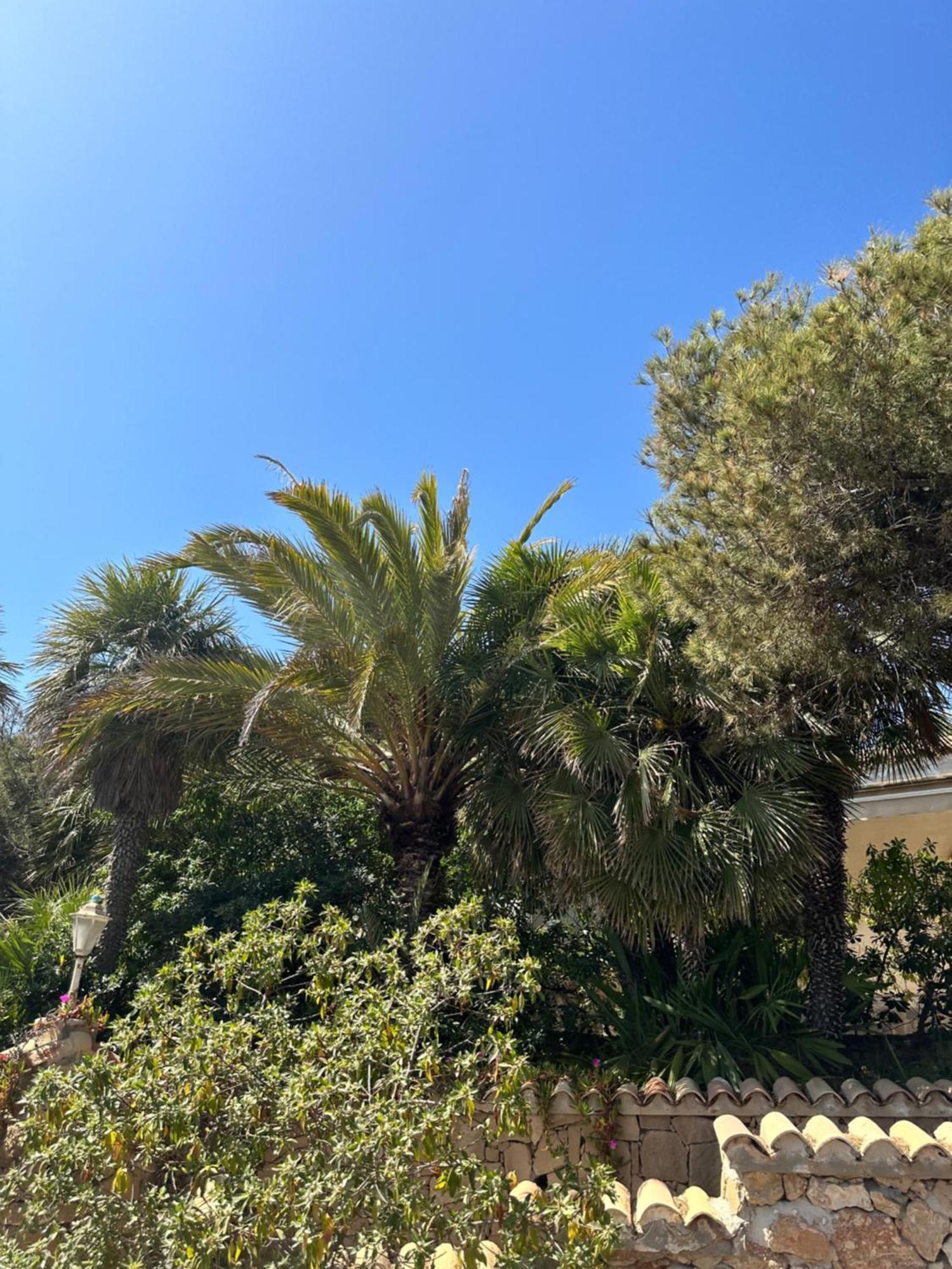 Relax Casa Costa Blanka Lejlighed Santa Pola Eksteriør billede